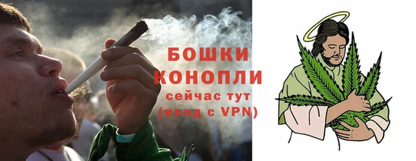 мяу мяу мука Каменногорск