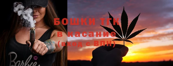 2c-b Каменка