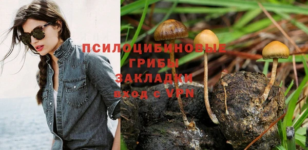 2c-b Каменка