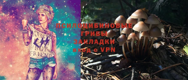 2c-b Каменка