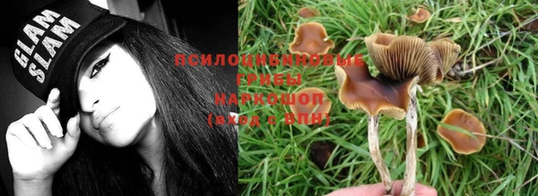 мяу мяу мука Каменногорск
