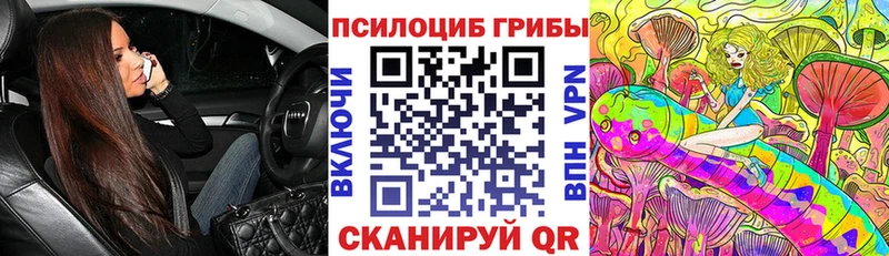 Купить где  Дмитриев  Псилоцибиновые грибы Psilocybine cubensis 
