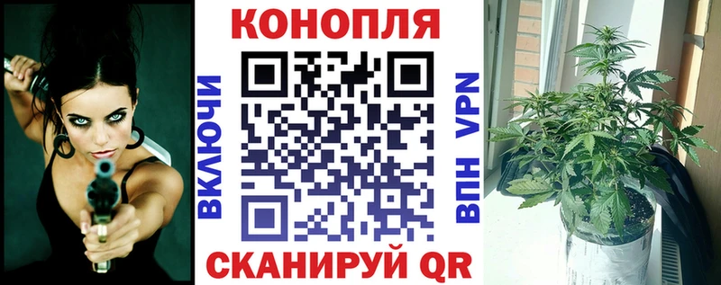 Каннабис сатива Дмитриев